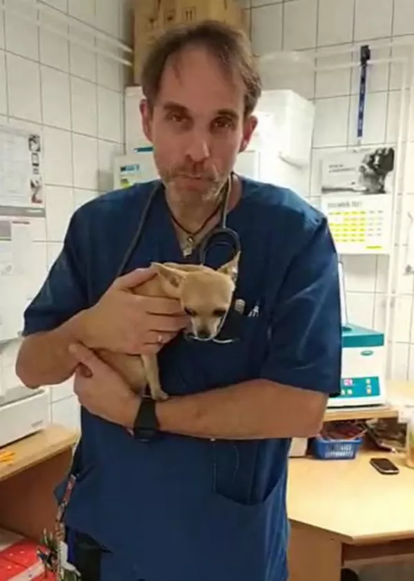 Mi a helyzet, ha "becsokizik" a házi kedvenc?